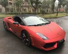 朱婷亮相河,南新闻发布,排协推诿河,米兰体育官网,米兰体育平台,米兰体育链接,米兰体育官方