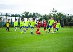 陈键锋疑似,因健康问题,退出娱乐圈,米兰体育官网,米兰体育平台,米兰体育链接,米兰体育官方