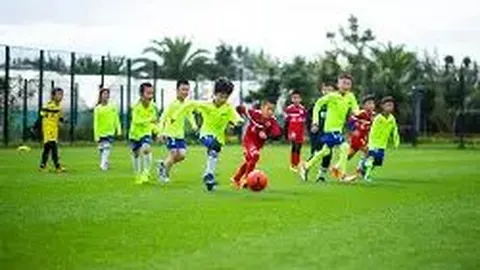 米兰体育 产品 123216 4if